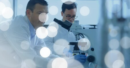 Aufkleber - Laboratory colleague pipetting fluid drops on slide while partner focusing microscope for analysis