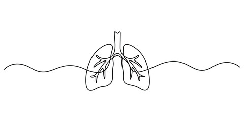 Poster - Continuous one line editable stroke of human lungs. Single line art style lungs vector illustration