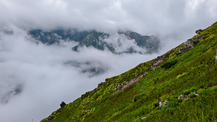 Wall Mural - Misty Valley Mountains with Lush Cliff Forest and Atmospheric Clouds