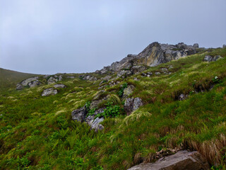 Wall Mural - Rocky Green Hillside with Scenic Cliff View Under Overcast Sky