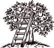 © Purple_Lamp - Orchard apple tree with ripe fruit and leaning wooden ladder, vintage engraved illustration