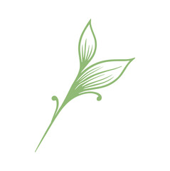 Poster - Stylized Green Leaf Branch Vector Illustration