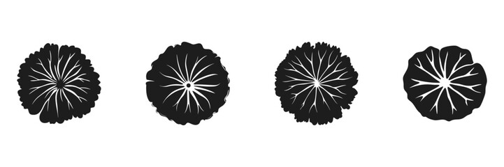 Poster - Black And White Abstract Flower Patterns Set, Top View. Nature-Inspired Decorative Design Collection. Isolated Vector Illustration