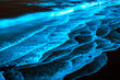 © Gary - Bioluminescent waves shimmer along the shoreline in New South Wales, Australia, creating a surreal glow in the night.