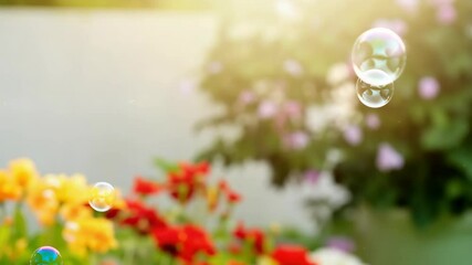 Wall Mural - transparent bubbles float over colorful flowers in sunlight