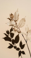 Poster - Beige branch with dried leaves casts shadow on light background, showcasing nature's subtle beauty and elegance, ideal for minimalist designs