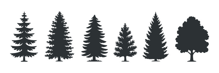 Poster - Collection of Coniferous Tree Silhouettes on a White Background for Nature Inspired Designs and Holiday Decorations and Winter Landscape Illustrations