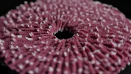 Poster - Textured Pink Object with White Dots Macro Shot with Central Hole and Black Backdrop