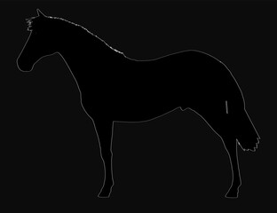 Poster - A black and white silhouette of a horse stands boldly against a dark background, showcasing its elegant profile. The minimalist composition highlights the animal's powerful form and graceful posture.