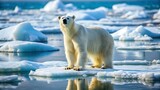 A majestic polar bear stands on an ice floe in the arctic waters