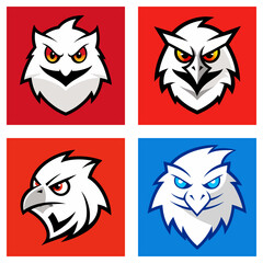 Poster - Four square images showcasing stylized white bird heads with different eye colors and backgrounds