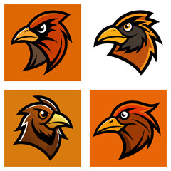 Poster - Four square images showcasing different bird head designs with varied color schemes and backgrounds