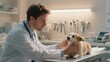© PrusarooYakk - A veterinarian examines a small dog on a clinic table, showing care and professionalism in a well-equipped veterinary office.
