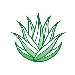 Aloe Vera. Trendy abstract minimal style. Natural fresh. Vector illustration isolated on white background
