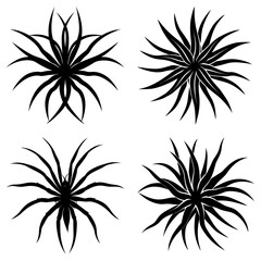 Fototapete - Four abstract floral designs with radiating petals in black and white illustration style art work