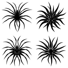Fototapete - Four stylized floral arrangements with radial symmetry in a monochrome color palette and white background
