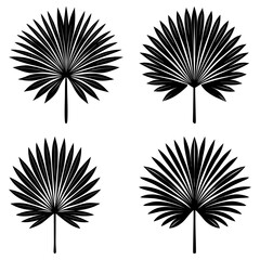 Fototapete - Four stylized palm fronds arranged in a square pattern with simple black and white design elements