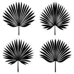 Poster - Four black fan palm leaves arranged in a square with simple stems and radial leaf patterns design vector