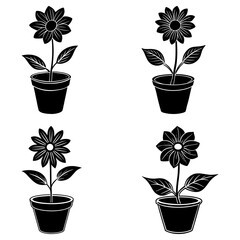 Fototapete - Four black and white flower illustrations in pots with leaves and detailed petal designs arranged in a grid