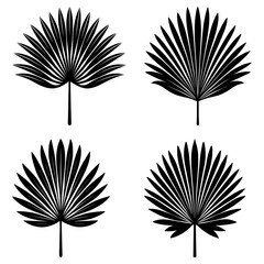 Fototapete - Four stylized black palm fronds arranged in a square formation on a white background in vector art