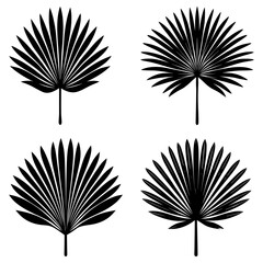 Fototapete - Four black fan palm leaves arranged in a square pattern on a white background simple botanical illustration