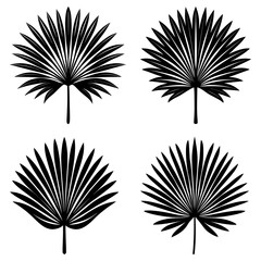 Fototapete - Four black palm fronds with radiating leaves arranged symmetrically on a white background in a square layout
