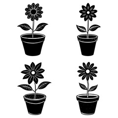 Fototapete - Four potted flowers in black and white with detailed petals and leaves in a symmetrical arrangement