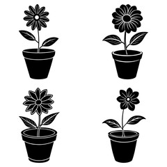 Fototapete - Four black and white potted flowers with leaves and stems in a simple vector illustration style image