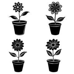 Poster - Four black and white flower pot illustrations with detailed petals and leaf designs in a simple style