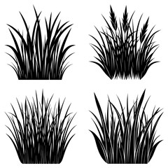 Leinwandbilder - Four clumps of black grass in different shapes and sizes on a white background in a vector illustration