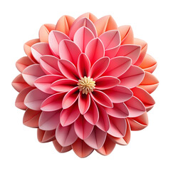 Leinwandbilder - Pink Dahlia Flower with Detailed Petals and Yellow Center on Transparent Background