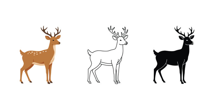 Deer illustration set with color outline and silhouette versions on white background