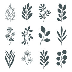 Poster - Set of Twelve Hand Drawn Botanical Illustrations with Various Leaves and Branches in a Simple Style on a White Background for Decorative Purposes