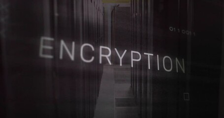 Poster - Blurred letters forming ENCRYPTION pulsing circuits and zooming visualizing security