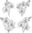 © AssetBud - Delightful orchid blossoms are rendered in a clean line drawing style against a pristine white background creating a seamless, elegant botanical design with flower elements.