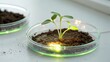 © Tonton1541 - startup seed technology concept. Young plant growing in soil with subtle lighting in a petri dish.