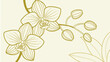 © Morjina - Elegant gold line art of orchid flowers and buds on a light cream background