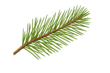 Poster - Realistic spruce branch with transparent background, perfect for adding a touch of nature to holiday designs or festive projects
