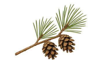 Poster - Pine branch bearing two cones, green needles spread, resting on transparent backdrop, ideal for festive seasonal design elements