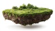 © Muhammad - A small, floating island of rich brown soil topped with lush green grass, wildflowers, and shrubs, isolated on a white background