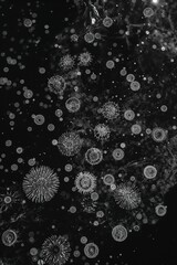 Poster - A black and white image showing many circular shapes with radial lines and smaller dots scattered around