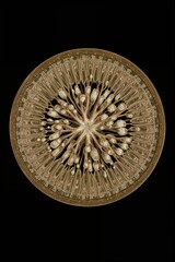 Poster - A circular abstract design with radiating elements on a black background in golden hues and intricate details