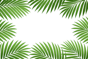 Poster - Lush tropical palm leaves create a vibrant border against a transparent background, offering a natural and exotic frame