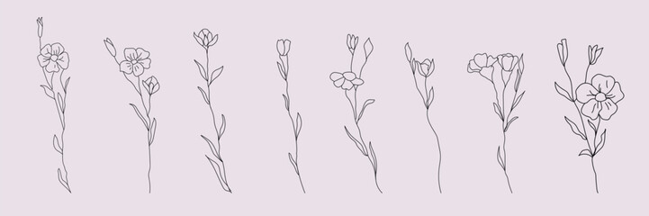minimal botanical graphic sketch drawing, trendy tiny tattoo design, floral elements vector illustra