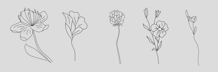 minimal botanical graphic sketch drawing, trendy tiny tattoo design, floral elements vector illustra