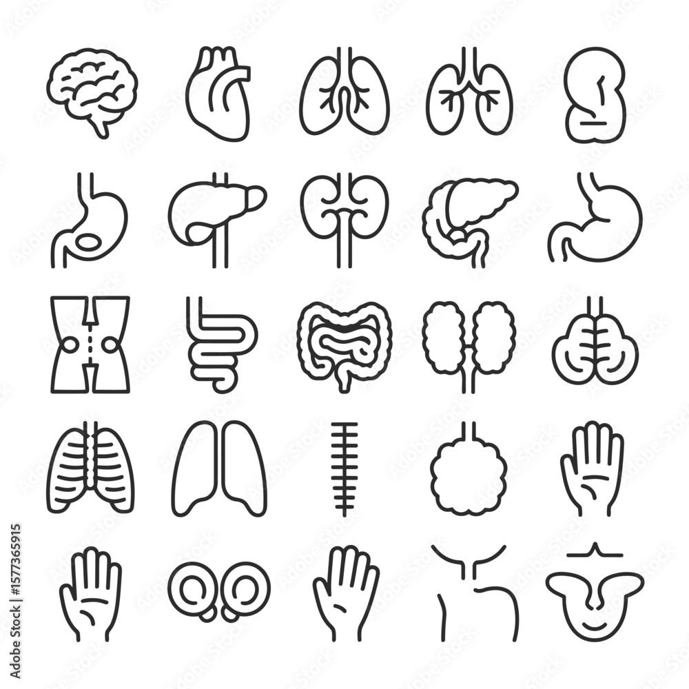 Black and White Line Art Icons Collection of Human Organs Brain Heart ...
