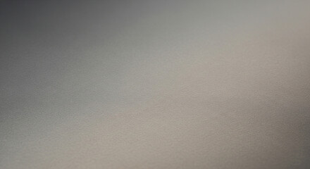 Poster - Textured metal surface exhibiting a soft silver gradient and fine grain detail creating a modern, abstract background.