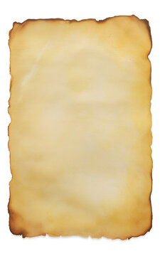 Aged paper background with burnt edges showcases texture and provides space for text or designs