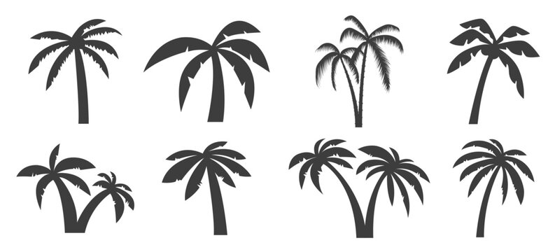 set palm tree icons white background elements logo label emblem sign menu illustration.