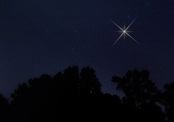 Wall Mural - Bright Christmas Star shining in the night sky
